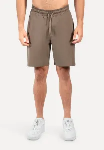 Спортивные шорты performance logo shorts xion sports shorts Smilodox, Taupe