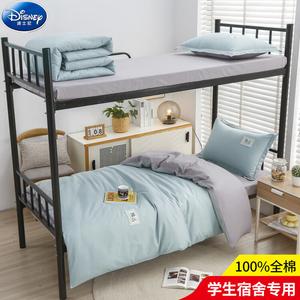 Disney Комплект постельного белья, 5 предметов: 3 предмета + одеяло 3 кг + наполнитель для подушки, цвет суялюй + серый