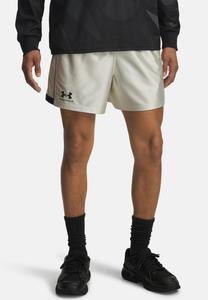 Спортивные шорты Under Armour 96 Terrace, Summit White/White