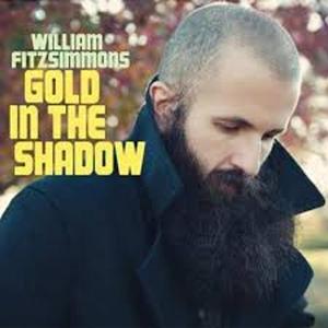 Диск CD Gold In The Shadow - William Fitzsimmons