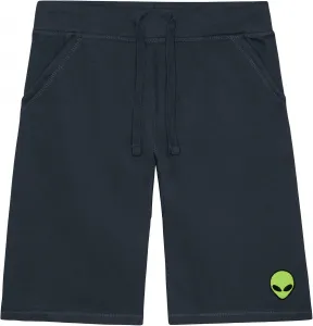 Мужские шорты DALIX Alien с вышивкой, мягкий флис, свободный крой