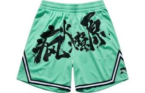 Баскетбольная коллекция Баскетбольные шорты мужские зеленые Anta, зеленый