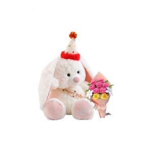 Мягкая и очаровательная гипоаллергенная плюшевая кукла мишка зайчик щенок 25см/35см/45см высота Mise