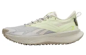 Женские кроссовки Floatride Energy 5 Adventure «Steely Fog Citrus Glow» Reebok, Silver Gray