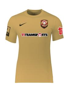 Футболка Performance NIKE Academy Park VII, золотой