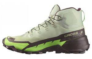 Кроссовки треккинговые Cross Hike 2 Mid GORE-TEX 'Desert Sage Green Gecko' Salomon