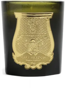 Ароматическая свеча Abd el Kader (270 г) Trudon, зеленый