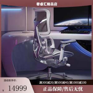 SIHOO S300 премиальное эргономичное кресло для длительного сидения в офисе, цвет Rock Gray + база 6-го поколения Space Base, ножки из алюминиевого сплава X 6D подлокотники