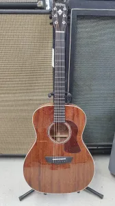 Washburn HG120SWEK-D Новый - Натуральный