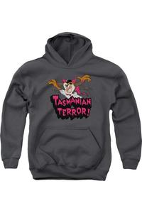 Молодежная толстовка с капюшоном Looney Tunes Taz Terror Gildan, Charcoal