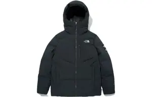 THE NORTH FACE Мужская куртка, цвет Black