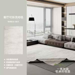 AOVOC Ковер 200х300 см съемный и моющийся в стиле French Cream для гостиной/спальни, только поверхность Wilderness