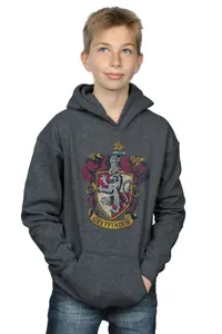 Толстовка с потертым гербом Гриффиндора Harry Potter, серый