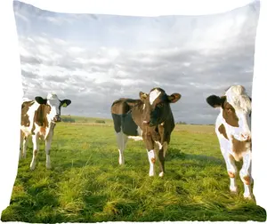 Декоративная подушка для дивана, декоративная подушка для гостиной, 45x45 см, корова, солнце, животное, подушка для сна, подушка для дивана MuchoWow