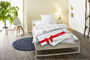 Пуховое одеяло fjödur "Фабиан 2 в 1 200х200 см, белый