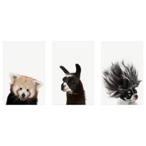 Фреска Artgeist Friendly Animals Collection, разноцветный