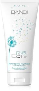 Кремовая очищающая пенка Bandi, Pure Care