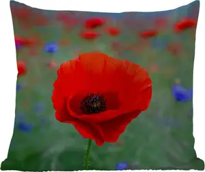 Подушка для улицы - Фиолетовые и красные маки на лугу - 60 x 60 см - Устойчива к погодным условиям - Подушка для отдыха - Декоративная подушка - Подушка для сна MuchoWow