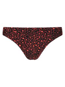 Плавки-бикини Aprilia с леопардовым принтом 3680 Cruz