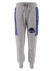 Спортивные брюки Jurassic World, серый