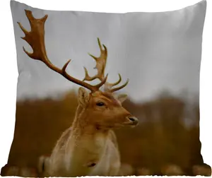 Подушка для улицы Лань, Лес, Стадо, Животные, Природа, 45 x 45 см, водонепроницаемая, подушка для отдыха, фотоподушка, декоративная подушка MuchoWow