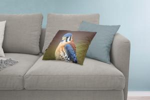 MuchoWow Predators - Американская пустельга крупным планом - 60x40 см - Чехлы на подушки - Декоративные наволочки - Декоративные наволочки