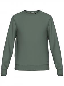 Chiemsee Зеленая толстовка