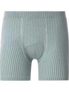 Боксеры Jan Vanderstorm Sigskov, Mixed colors