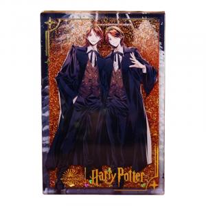 Коллекция Гала Гарри Поттер мистические боксы одиночный мистический бокс/полный бокс 6 шт POP MART