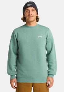 Толстовка Billabong ARCH, Bmr/Blue