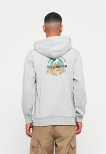 Худи Helly Hansen CORE GRAPHIC HOODIE UNISEX, Grey Melange/Grey