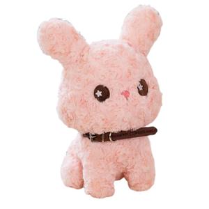 Очаровательная и милая коллекция плюшевых игрушек в виде собаки, плюшевая кукла высотой 25см/30см Dolls and bears dance