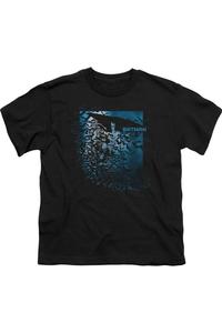 Футболка с коротким рукавом для детей "Batman: Летучая мышь среди летучих мышей" Gildan, черный