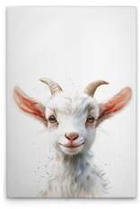 Картина на холсте A.S. Création Baby Billy Goat цвет weissbeigerosa