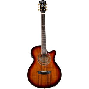 Washburn Festival EA55G Acoustic/Electric Guitar EA55G