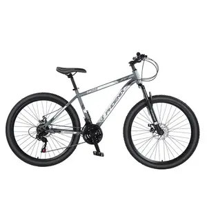 Горный велосипед Phoenix внедорожный с трансмиссией 26 дюймов 24 скорости, серый