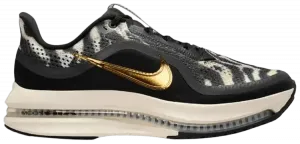 Кроссовки Nike Wmns Pegasus Premium, черный