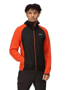 Куртка софтшелл Regatta, цвет schwarz/orange