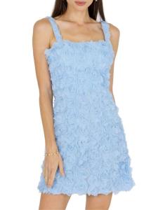 Мини-платье Melvina с цветочной аппликацией AKALIA, цвет Sky Blue