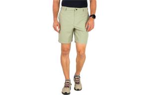 Повседневные шорты мужские зеленые The North Face, зеленый