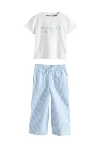 Брюки в полоску Superdry & Co, Blue White