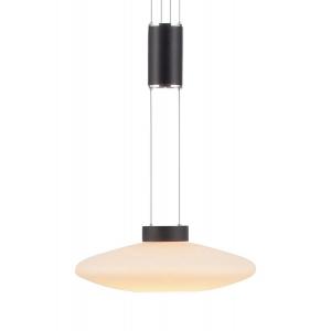 Подвесной светильник JUST LIGHT Lautada, матовое стекло / железо - 1 лампа - черный