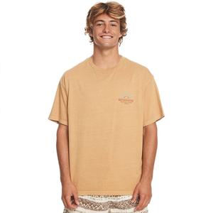 Футболка Quiksilver Qs Bloom Ss, бежевый