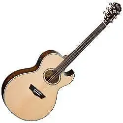 Акустическая/электрогитара Washburn Festival Series EA20-A Nuno с вырезом