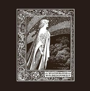 Виниловая пластинка Winterblood - Waldeinsamkeit