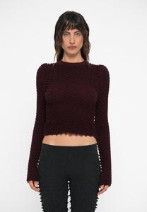 Джемпер Chet Lo MINI SPIKE LONGSLEEVE, Bordeaux