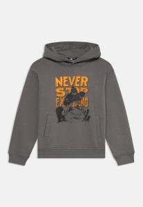 Худи The North Face OVERSIZED HOODIE GRAPHIC UNISEX, Smoked Pearl/Black