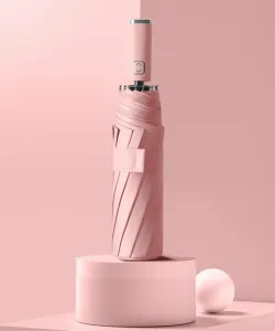 10-спицевый автоматический складной зонт с защитой от УФ-излучения 99%.