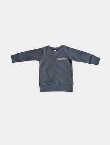 Babysprouts Детская толстовка-реглан "Маленький исследователь" серого цвета