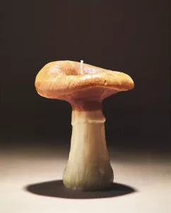 Свеча Zara Home Large Pumpkin Spice Scented Mushroom, желтый
